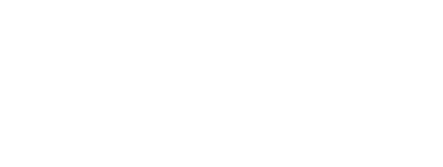 Internet Fibra